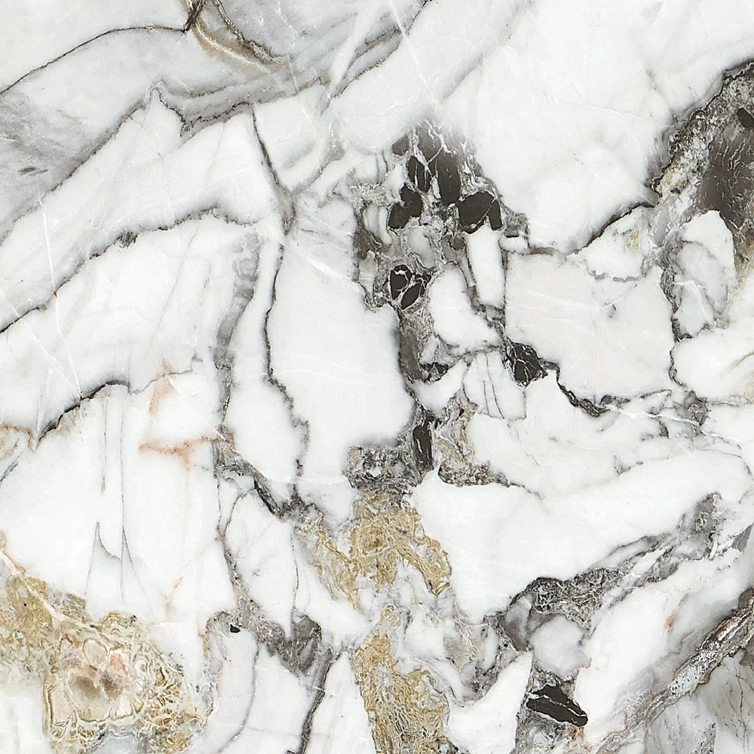 Symphonia Oro Polished 60x60 Rectified 3 Symphonia Oro Polished 60x60 Rectified